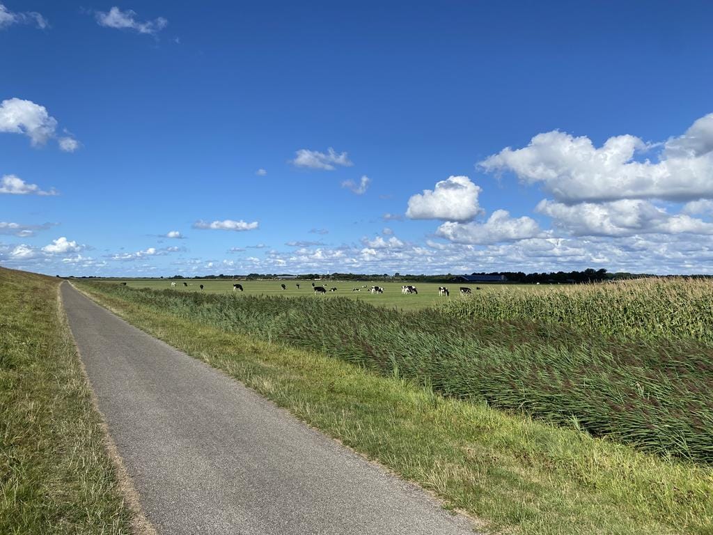 Photo 22 of Badweg 67-34