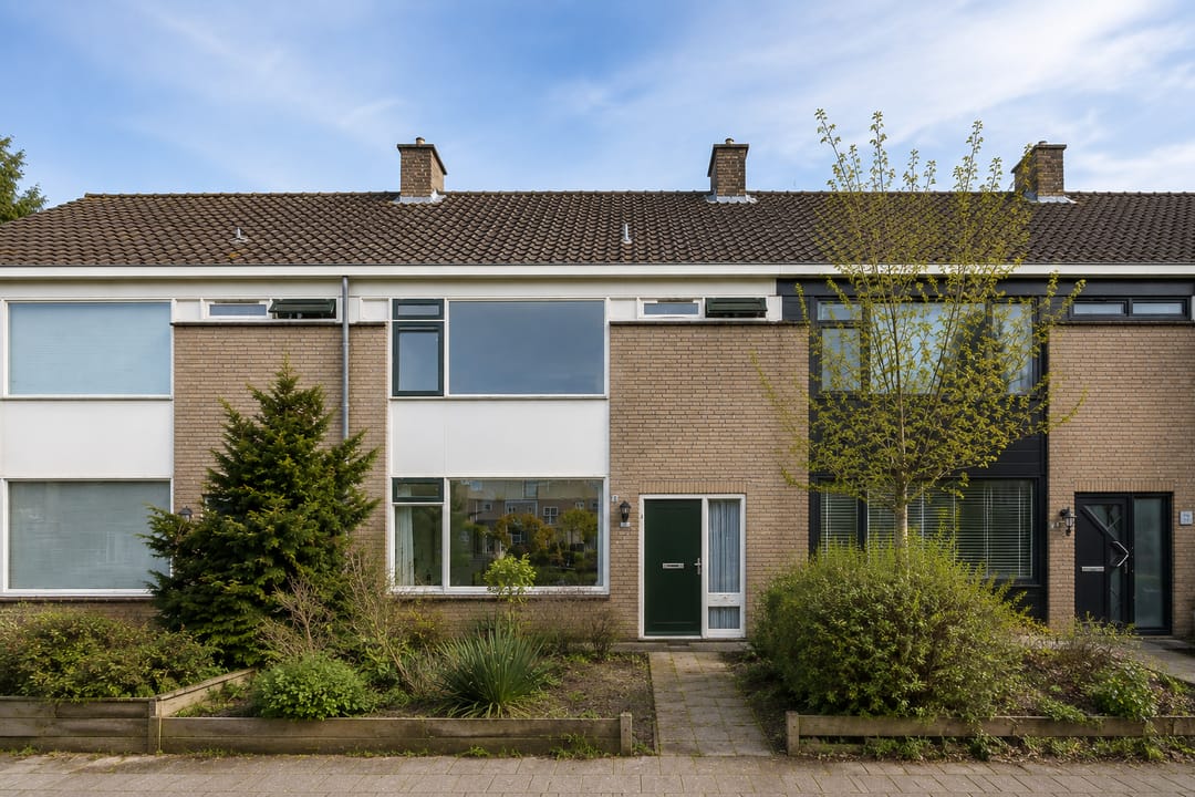 Foto 7 van Ruigezandplantsoen 16