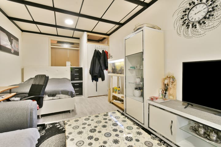 Appartement te koop: Viljoenstraat 15, 'S-Gravenhage