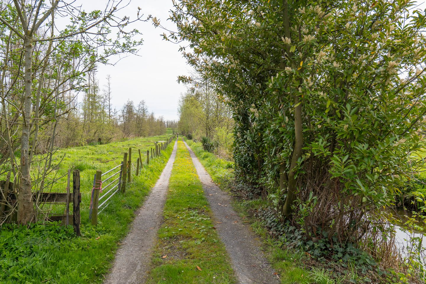 Foto 4 van Diefdijk 21