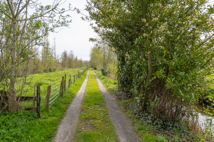 Foto 4 van Diefdijk 21