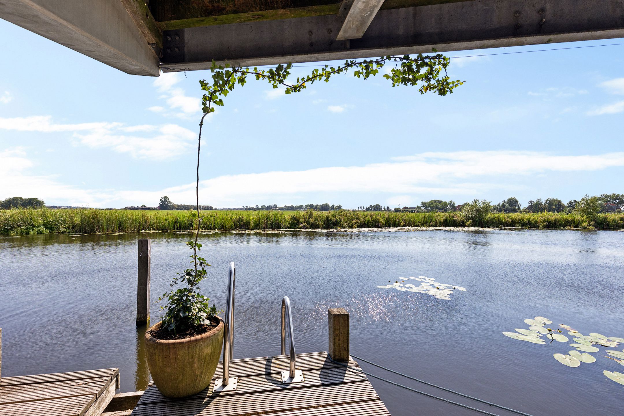 Photo 42 of Kleine vos 24