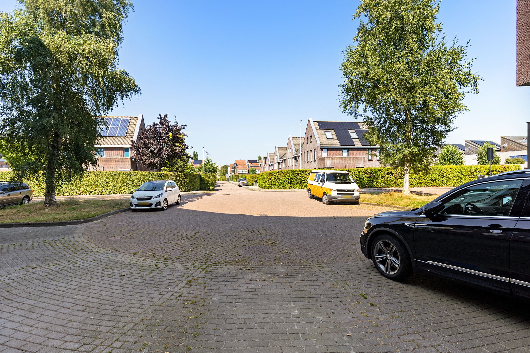 Photo 54 of Kleine vos 24
