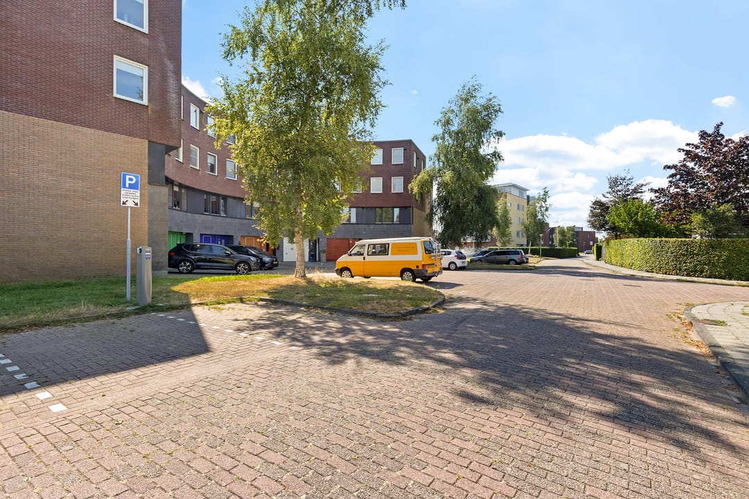 Photo 56 of Kleine vos 24