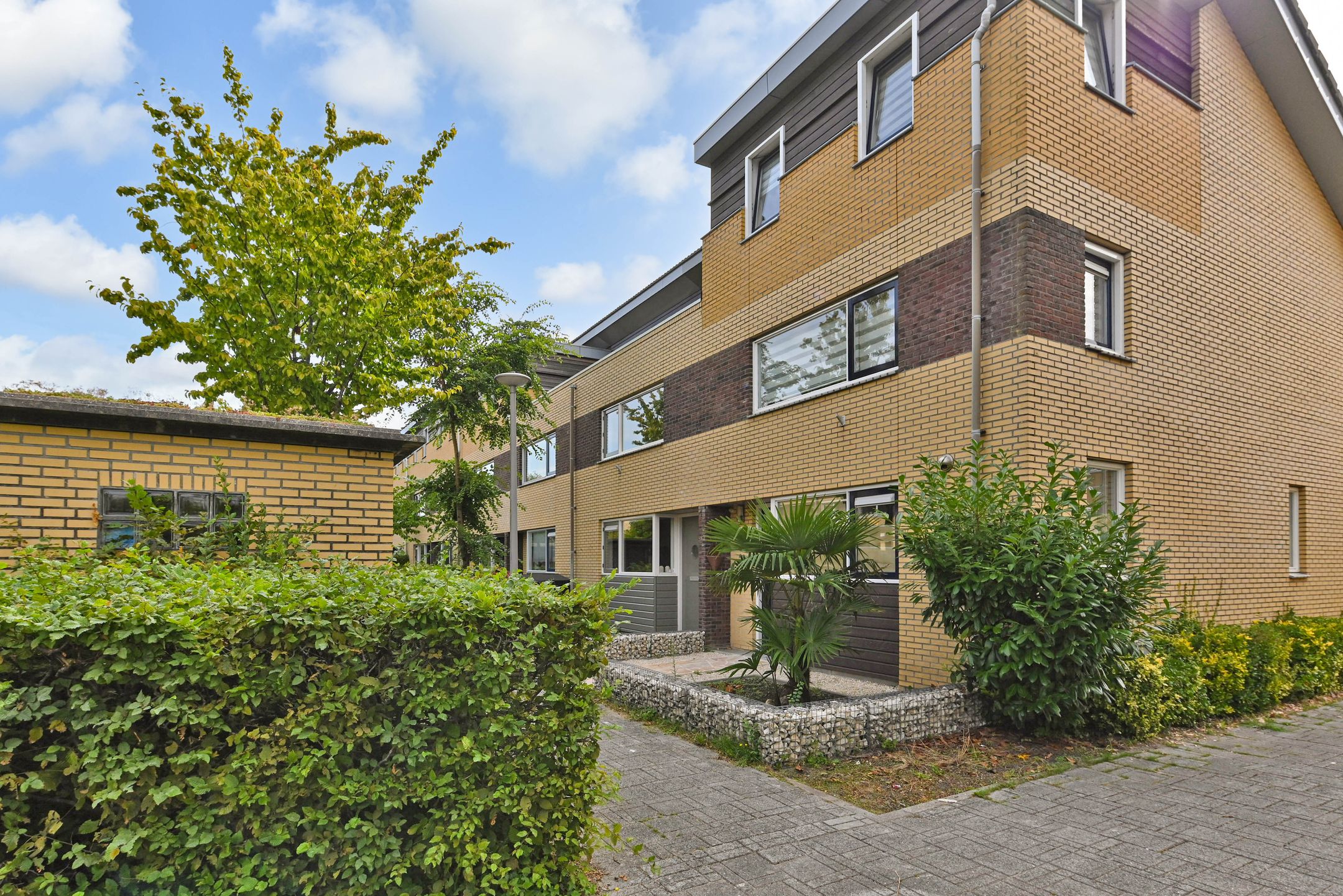 Photo 42 of Koolzaadveld 12