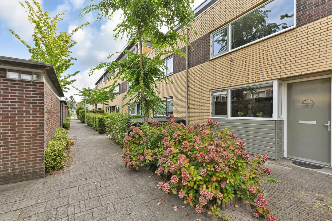 Photo 41 of Koolzaadveld 12