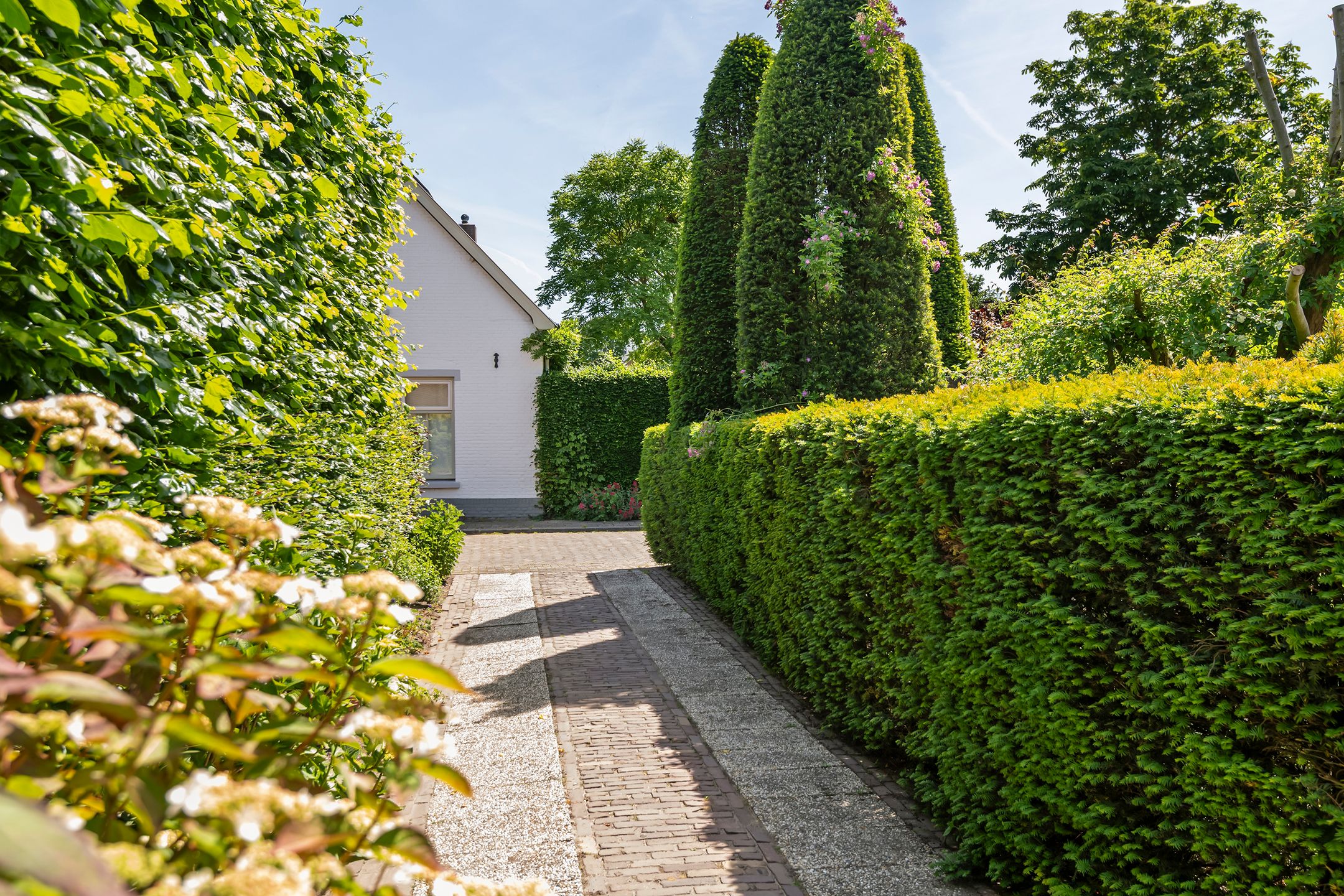 Photo 36 of Hooistraat 44-B