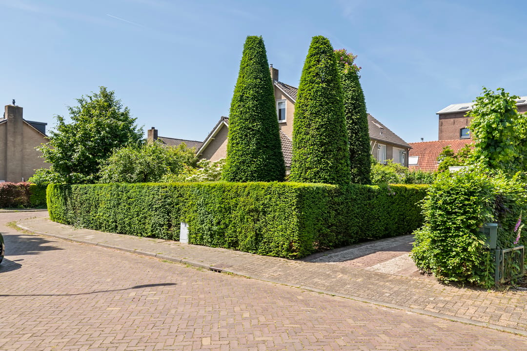 Photo 38 of Hooistraat 44-B