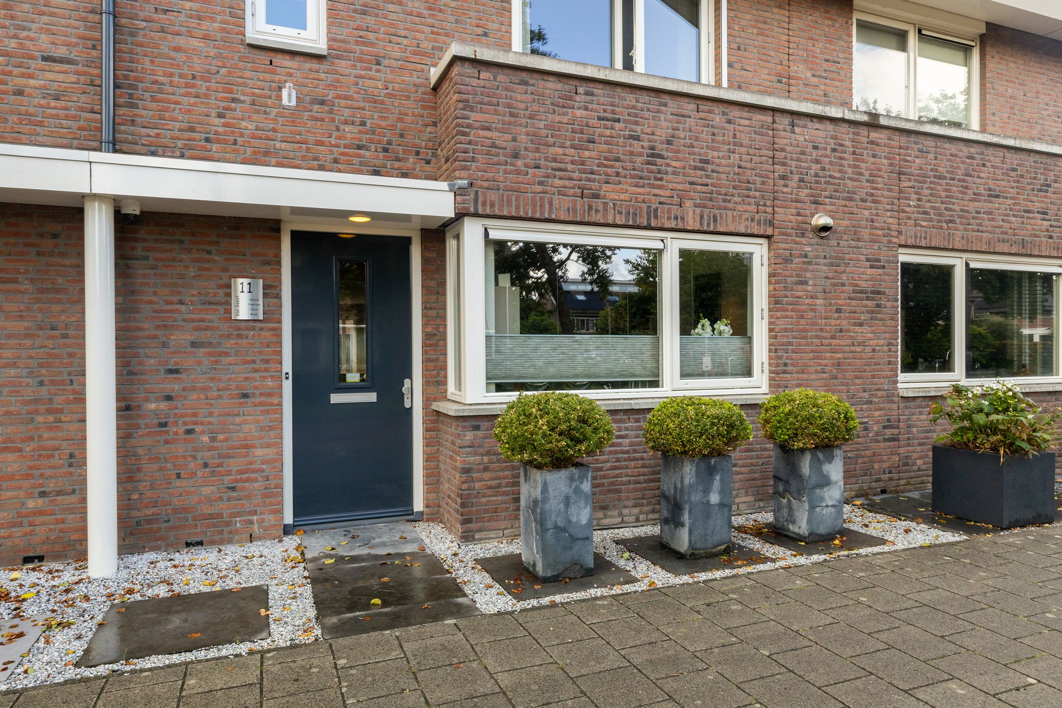Foto 6 van Blauwe Vinvis 11