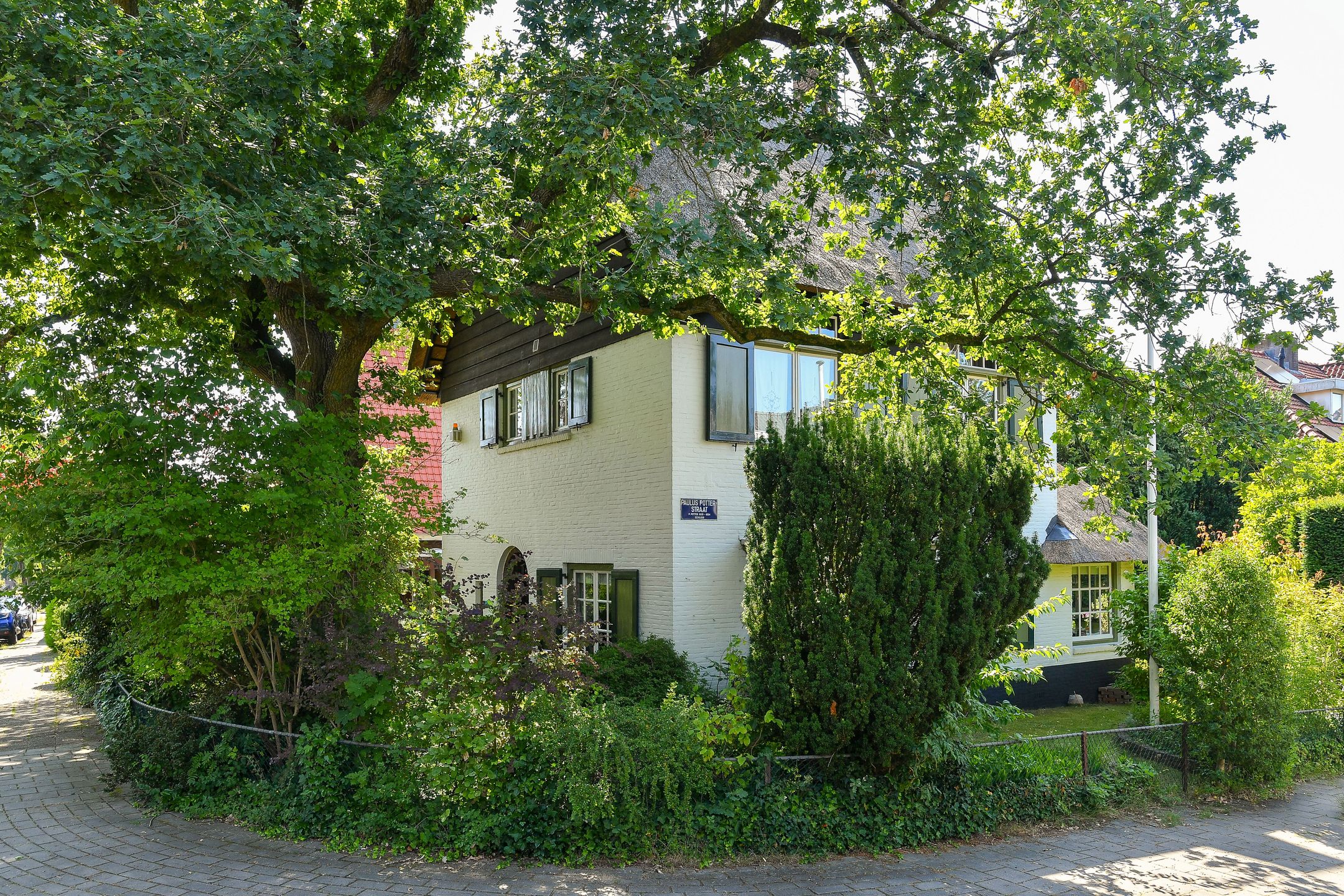 Van Ruisdaelstraat 35 