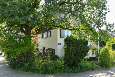 Van Ruisdaelstraat thumbnail