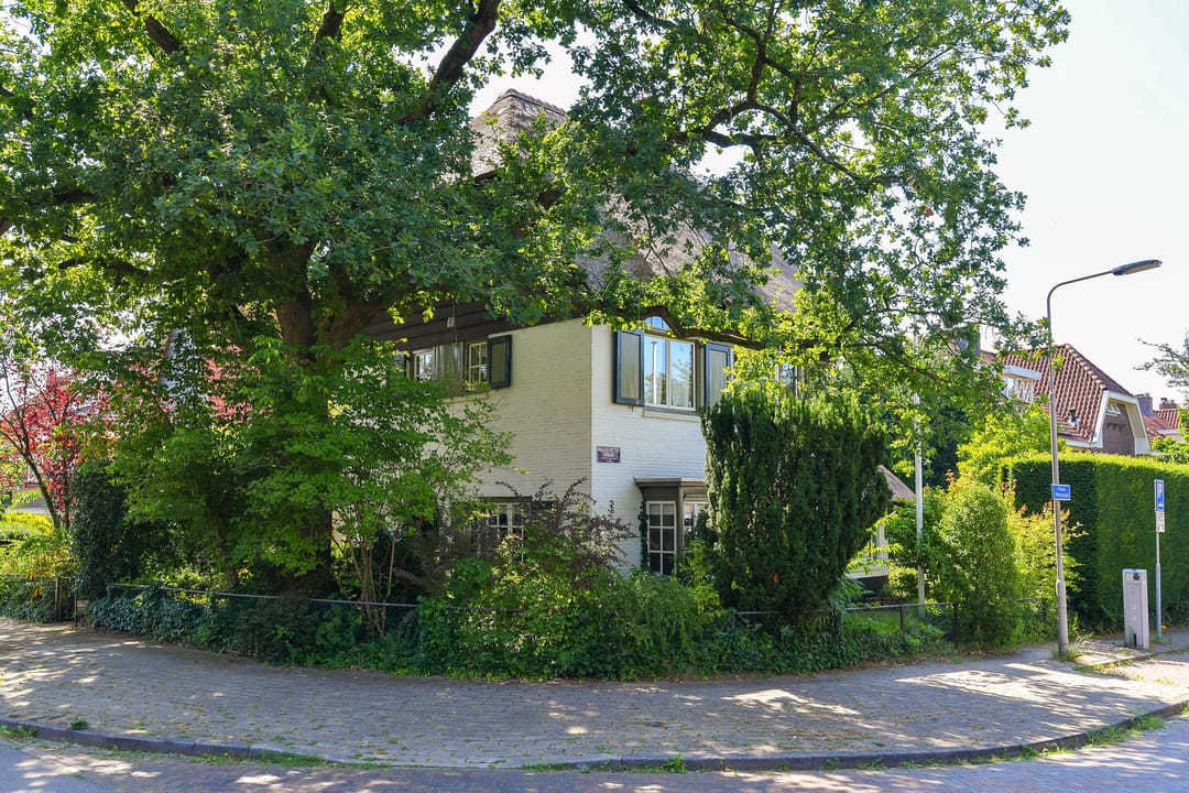 Photo 43 of Van Ruisdaelstraat 35