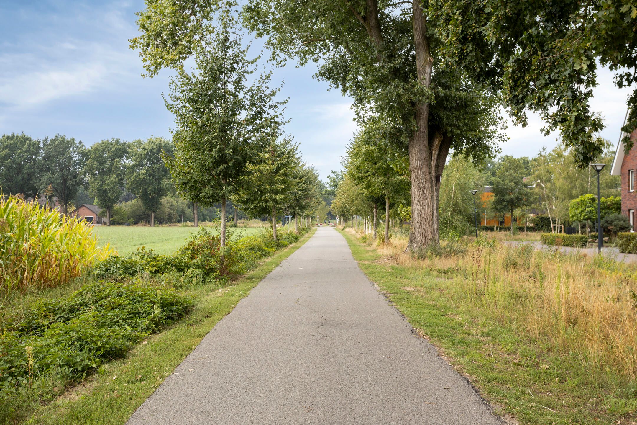 Foto 42 van Tongelreep 19