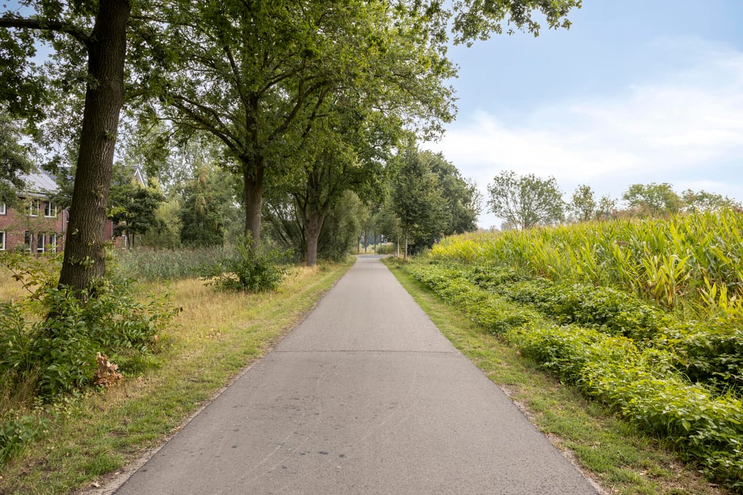 Foto 41 van Tongelreep 19