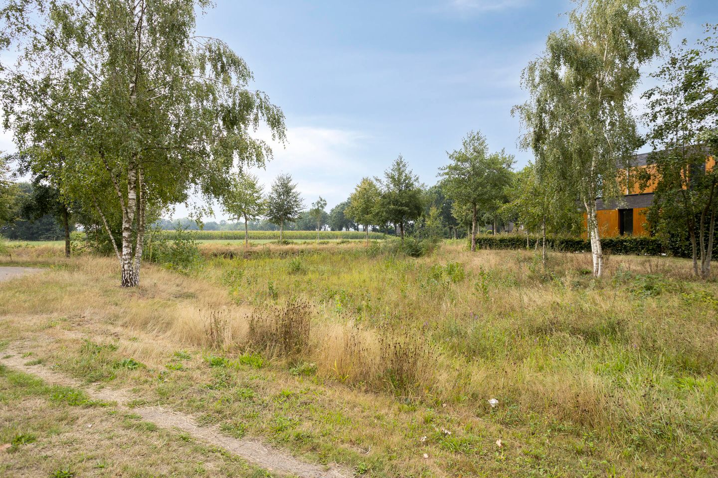 Foto 40 van Tongelreep 19