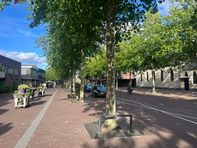 Bekijk foto 3 van de Dam 17