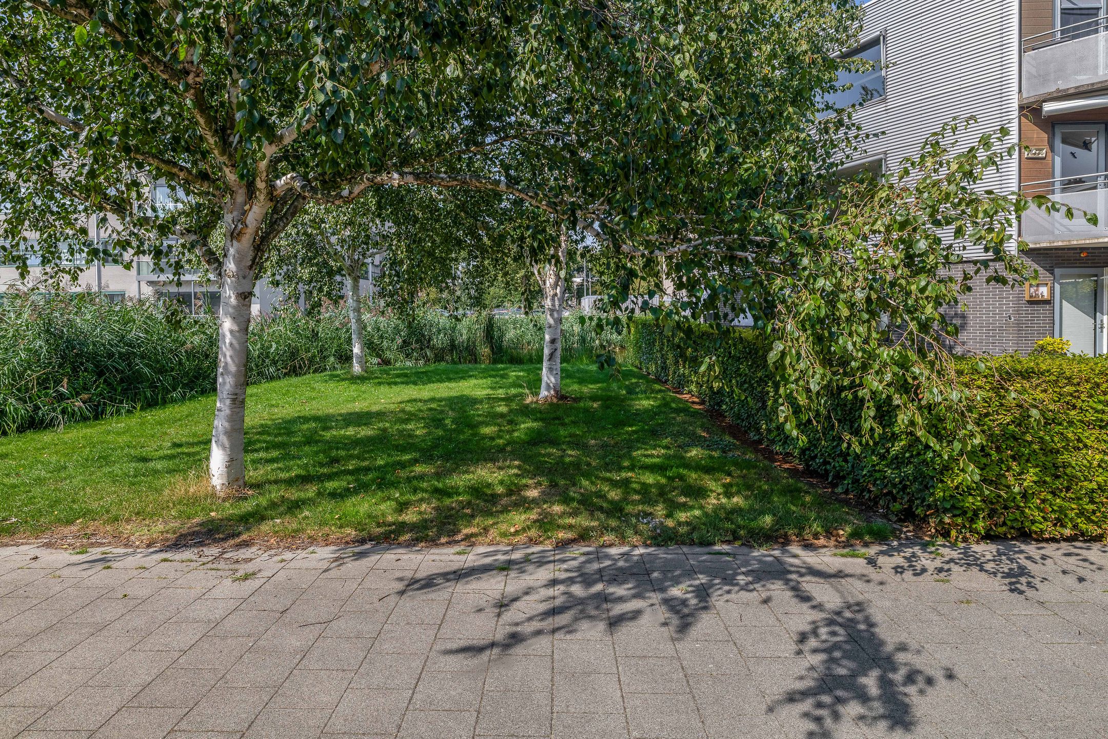 Photo 45 of Dr. J.J.P. Oudsingel 52