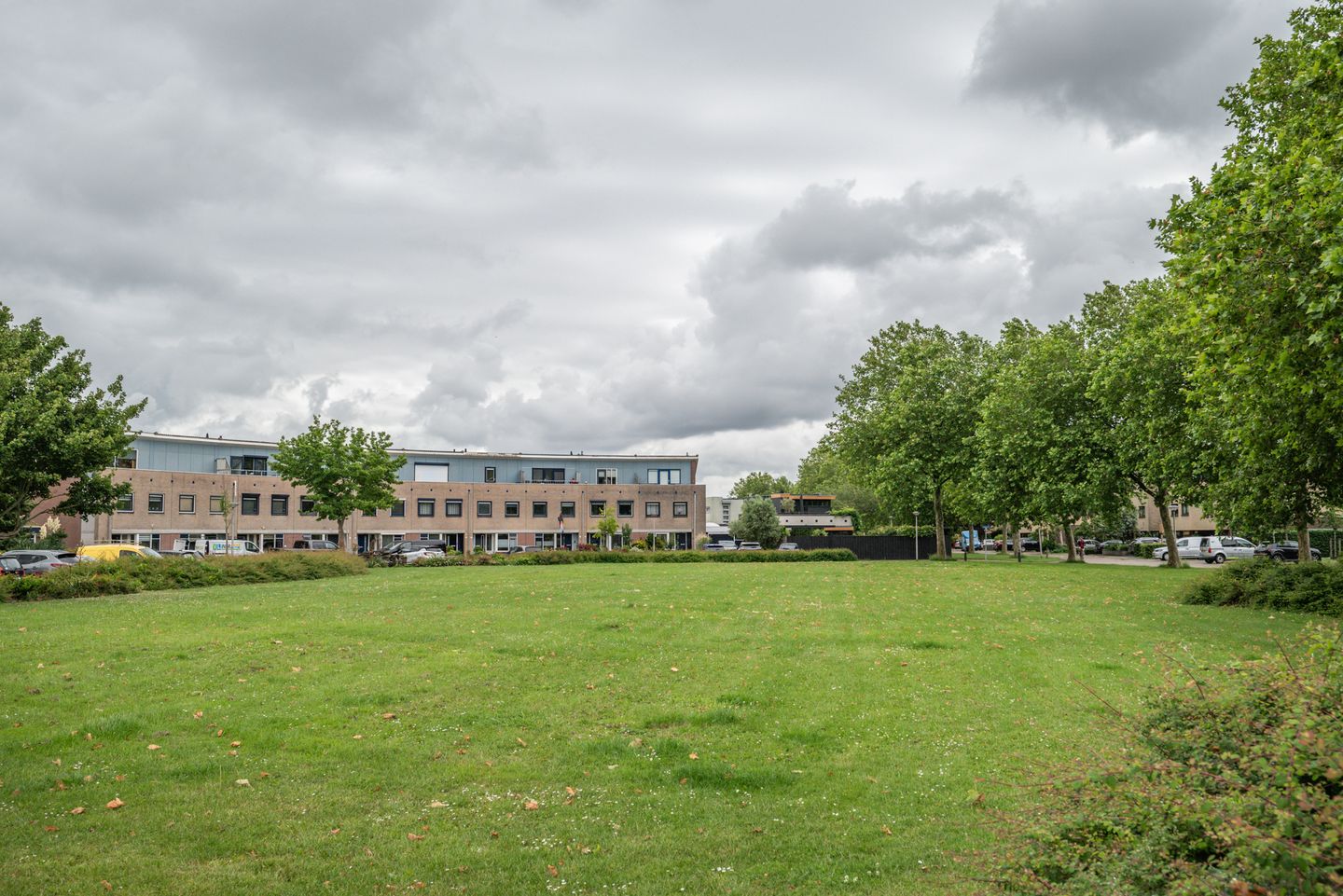 Photo 50 of Hertshoornvaren 15