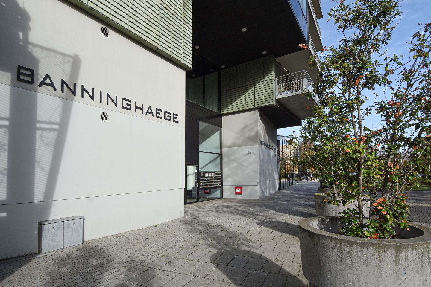 Photo 5 of Noordsingel 84