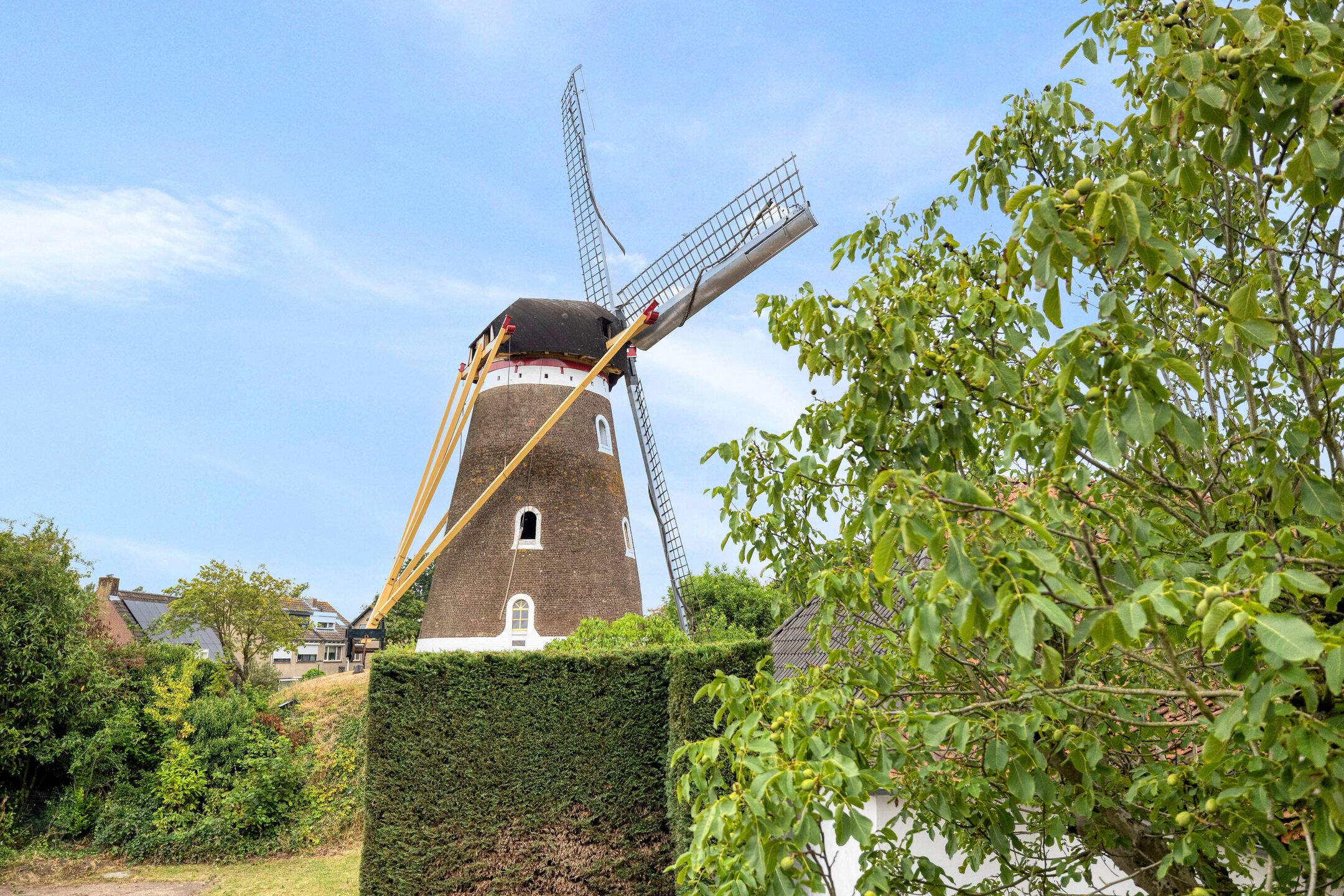 Photo 66 of Oude Bredaseweg 19