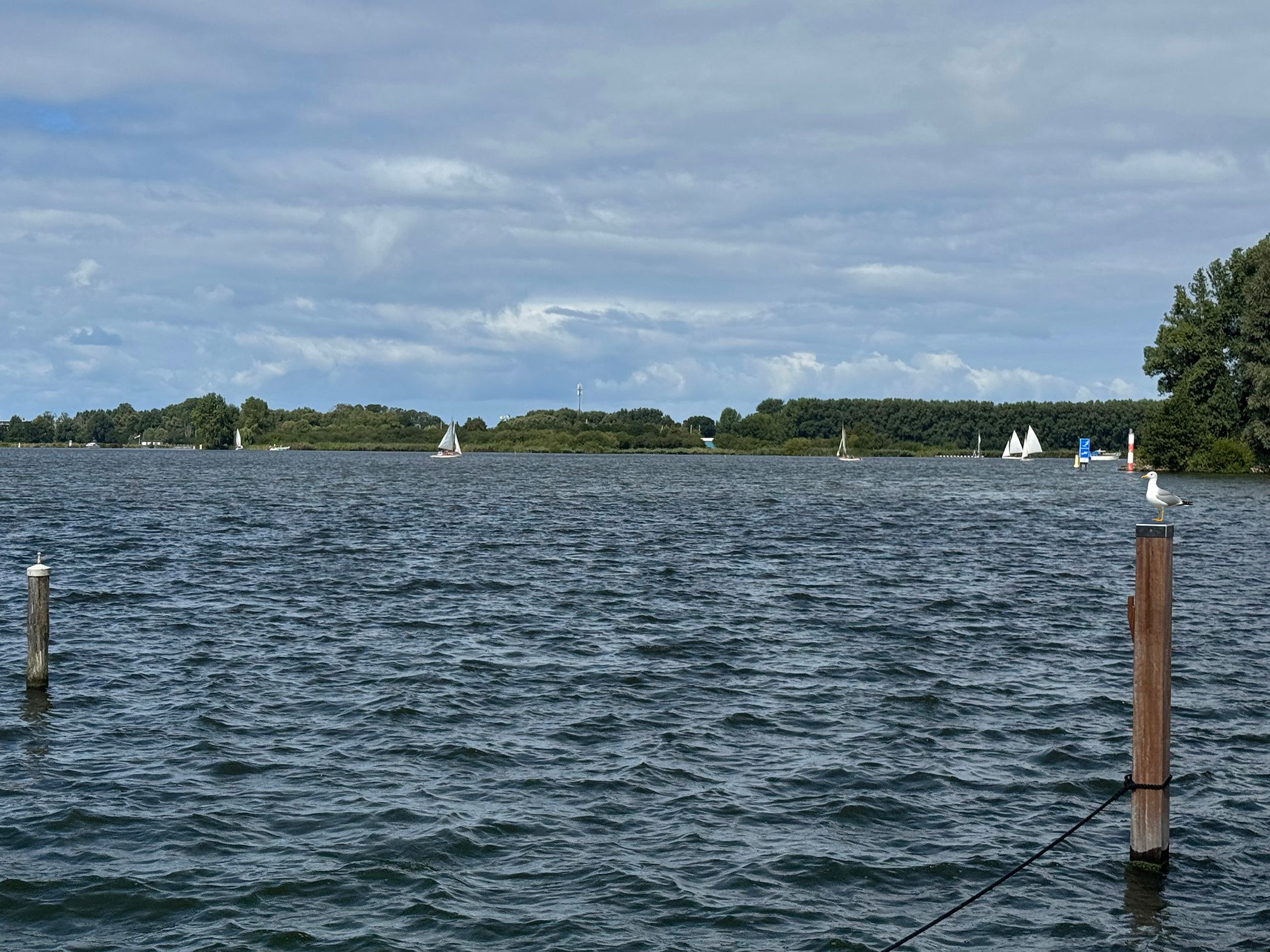 Photo 54 of Marijkelaan 7