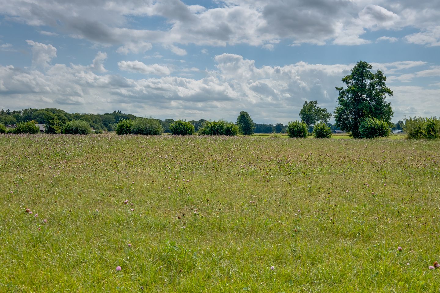 Photo 29 of Bathmenseweg 12-B