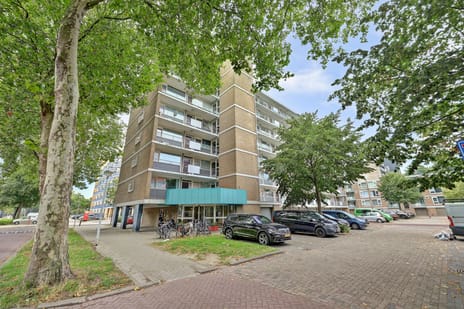 Albert van Raalteplein thumbnail