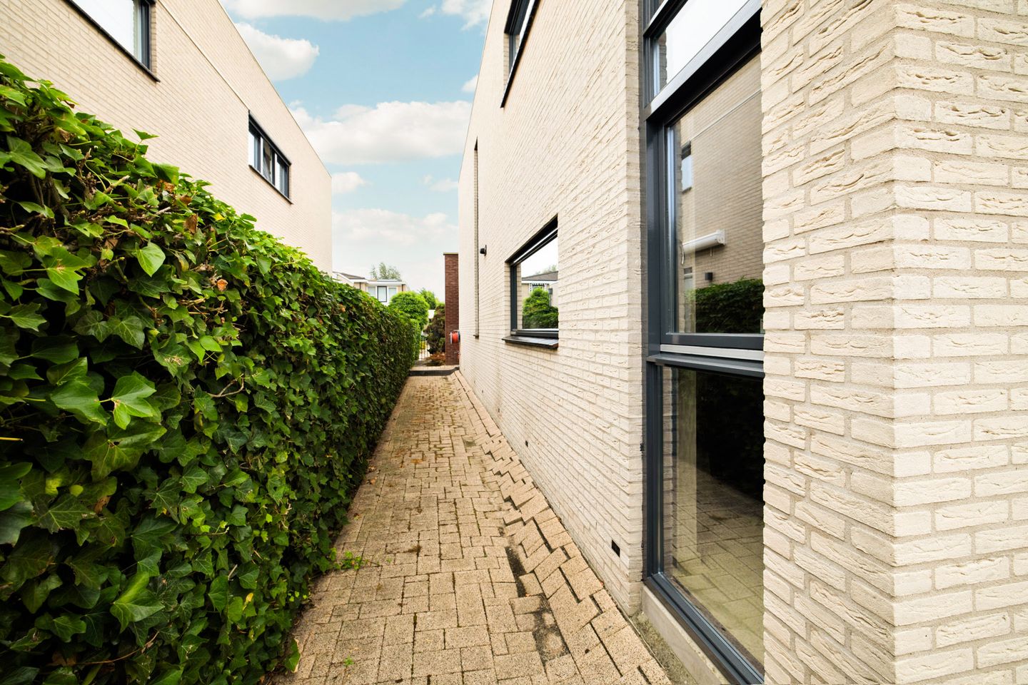 Photo 59 of Kornelis van Tollaan 16