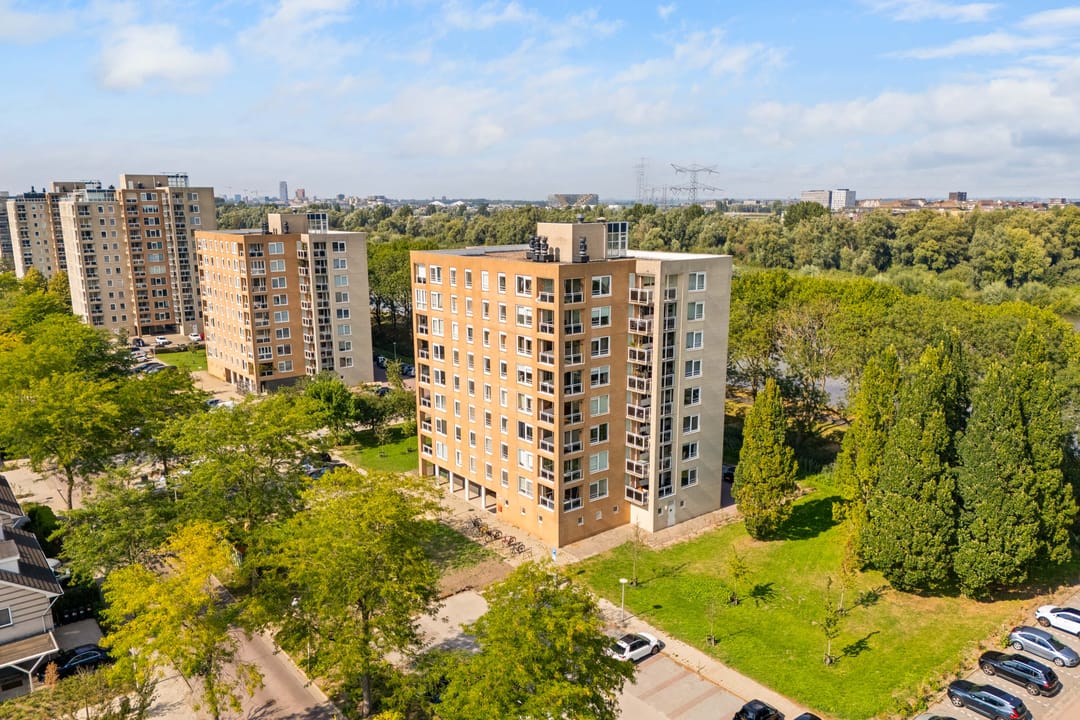 Foto 41 van Hermelijnvlinder 195