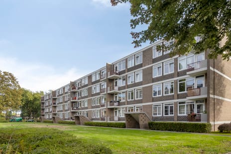 Kromhoutstraat thumbnail