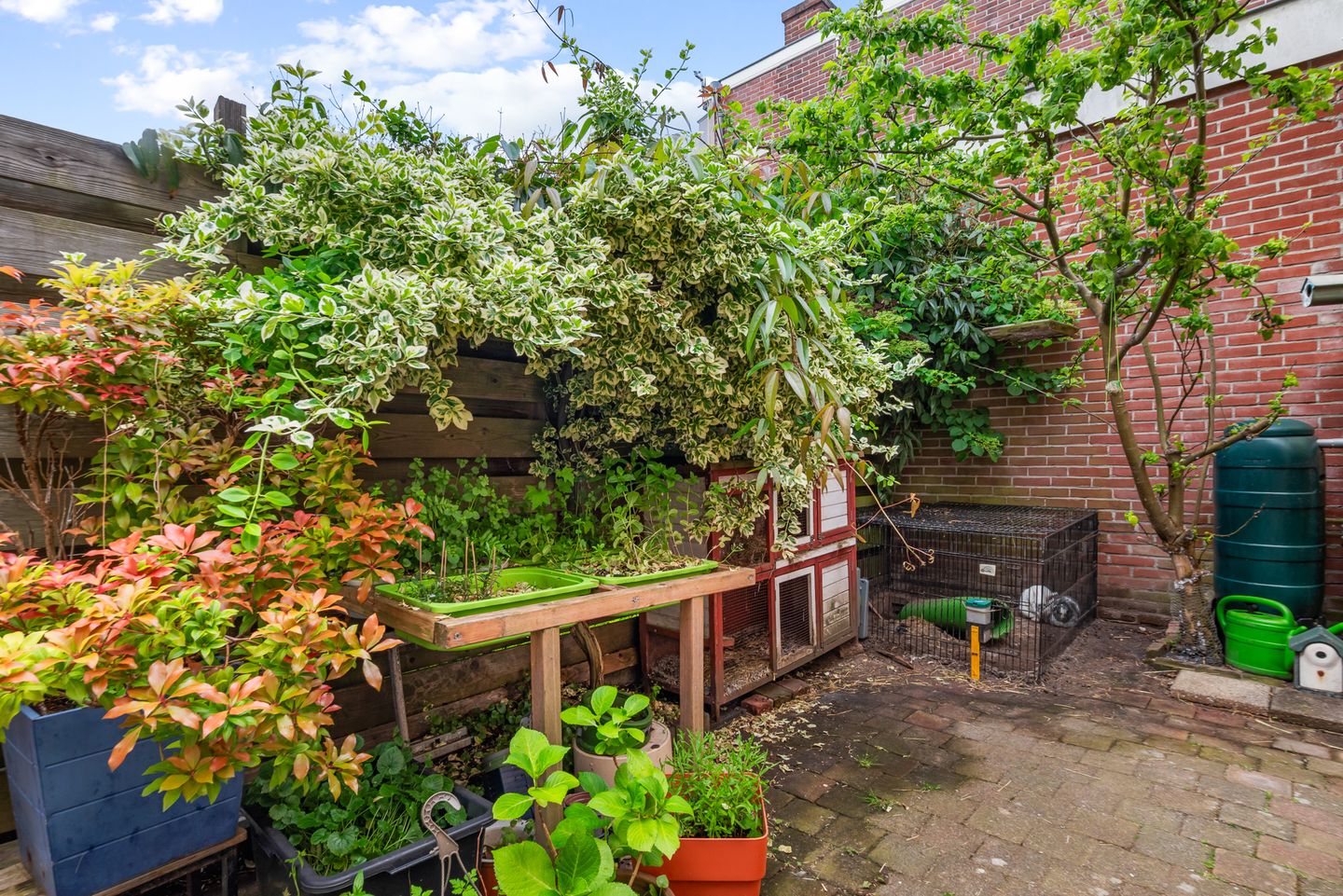 Foto 4 van Spionkopstraat 59