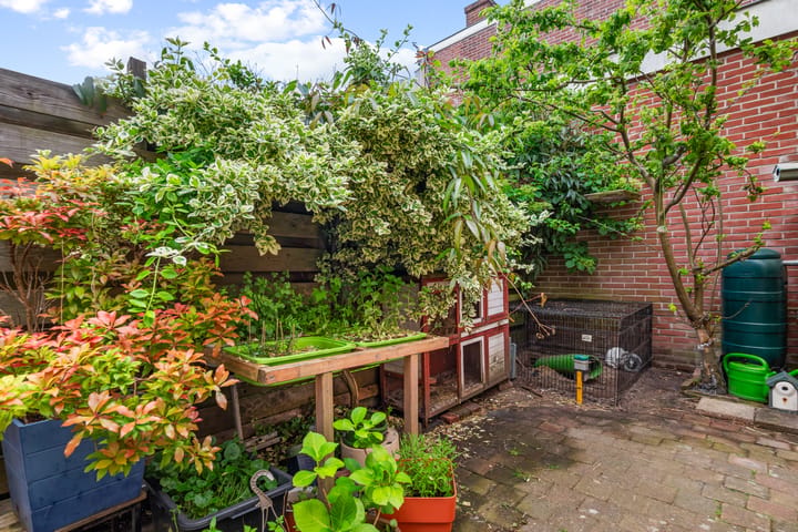 Foto 4 van Spionkopstraat 59