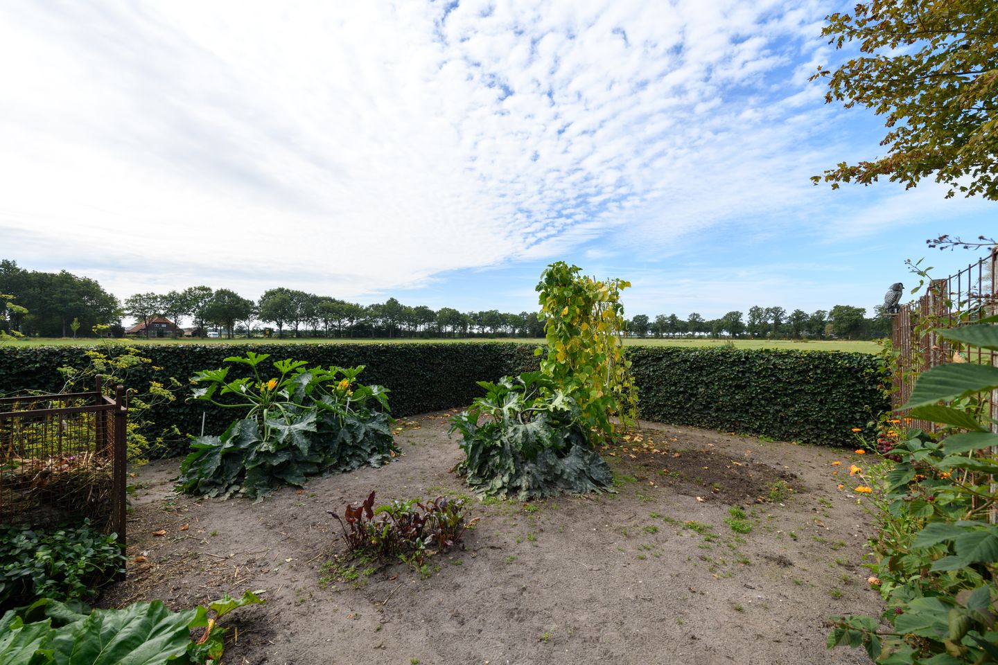 Photo 34 of Hoeveweg 22
