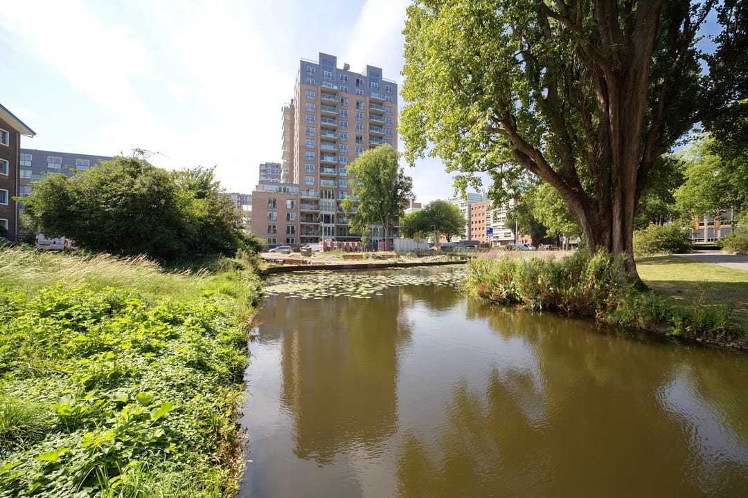 Foto 1 van Stadhoudersplantsoen 246-A