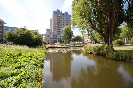 Stadhoudersplantsoen thumbnail
