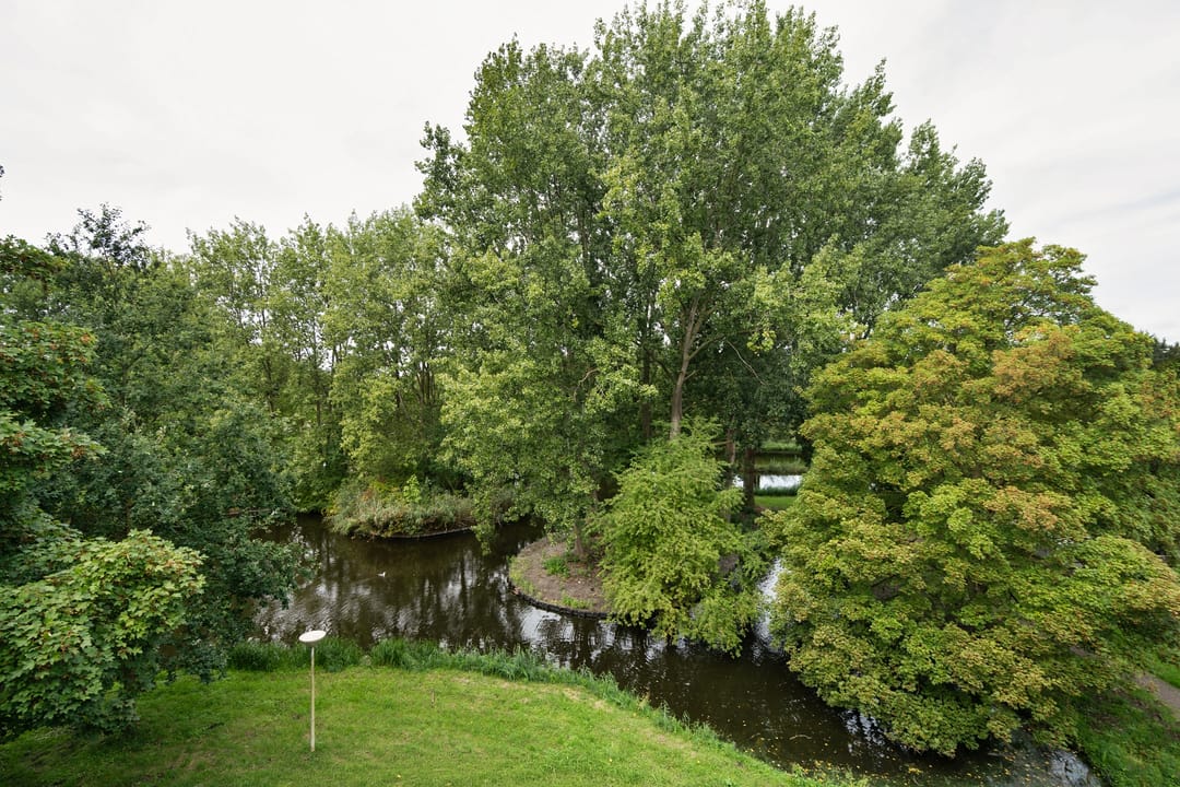 Photo 8 of Midscheeps 29