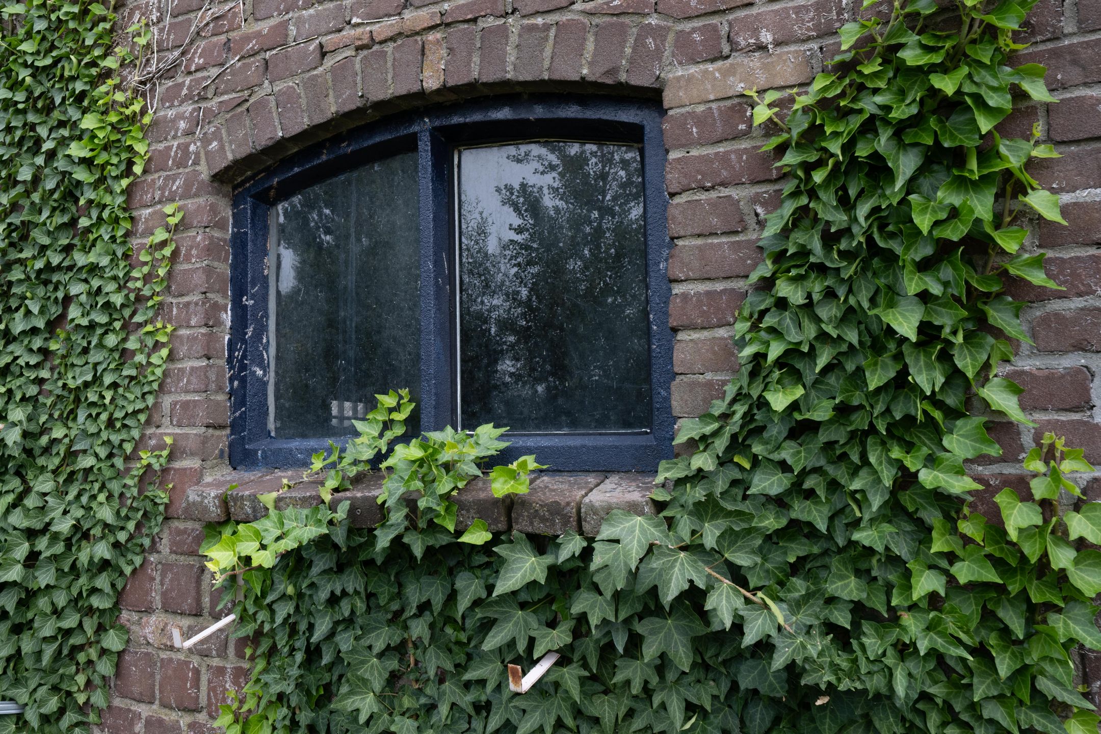 Photo 48 of Melkstraat 15