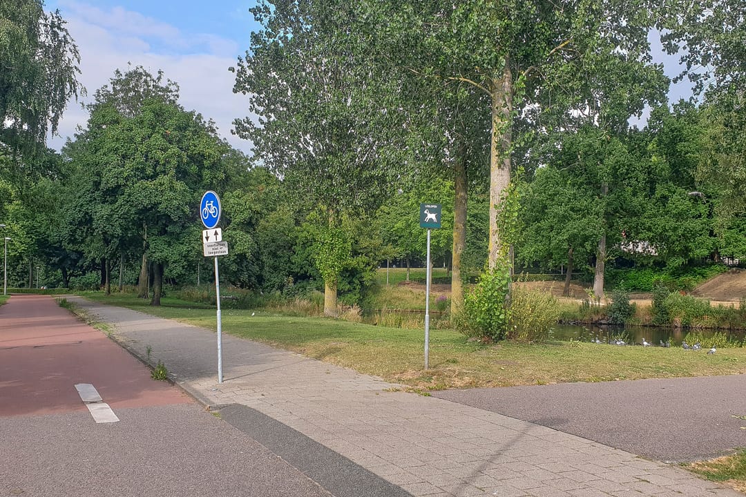 Foto 41 van Kometensingel 114-1