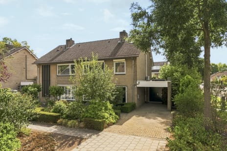 Koninginnelaan thumbnail