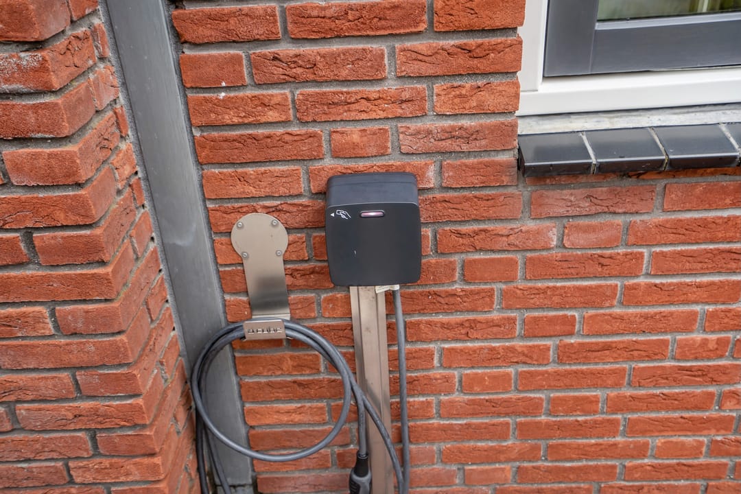Foto 41 van Rietgras 8