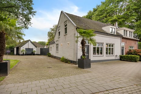 Raadhuisstraat thumbnail