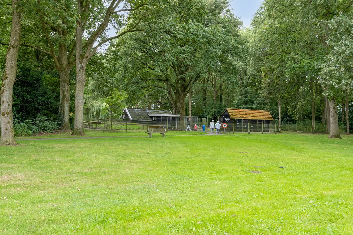 Foto 49 van Beukenlaan 10