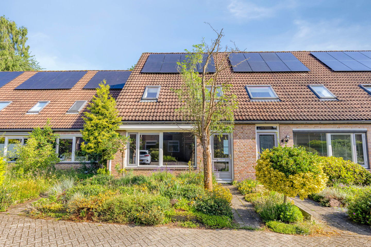 Photo 5 of Bonte salie 29