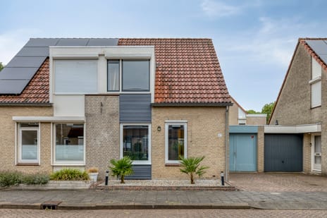 Koningskaars thumbnail