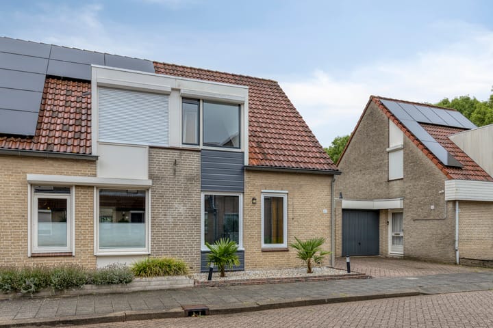 Foto 4 van Koningskaars 47
