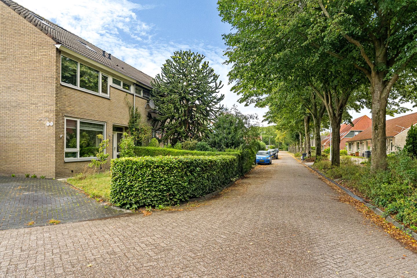 Foto 44 van De Linebeammen 16