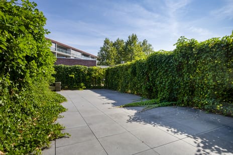Julianapark thumbnail