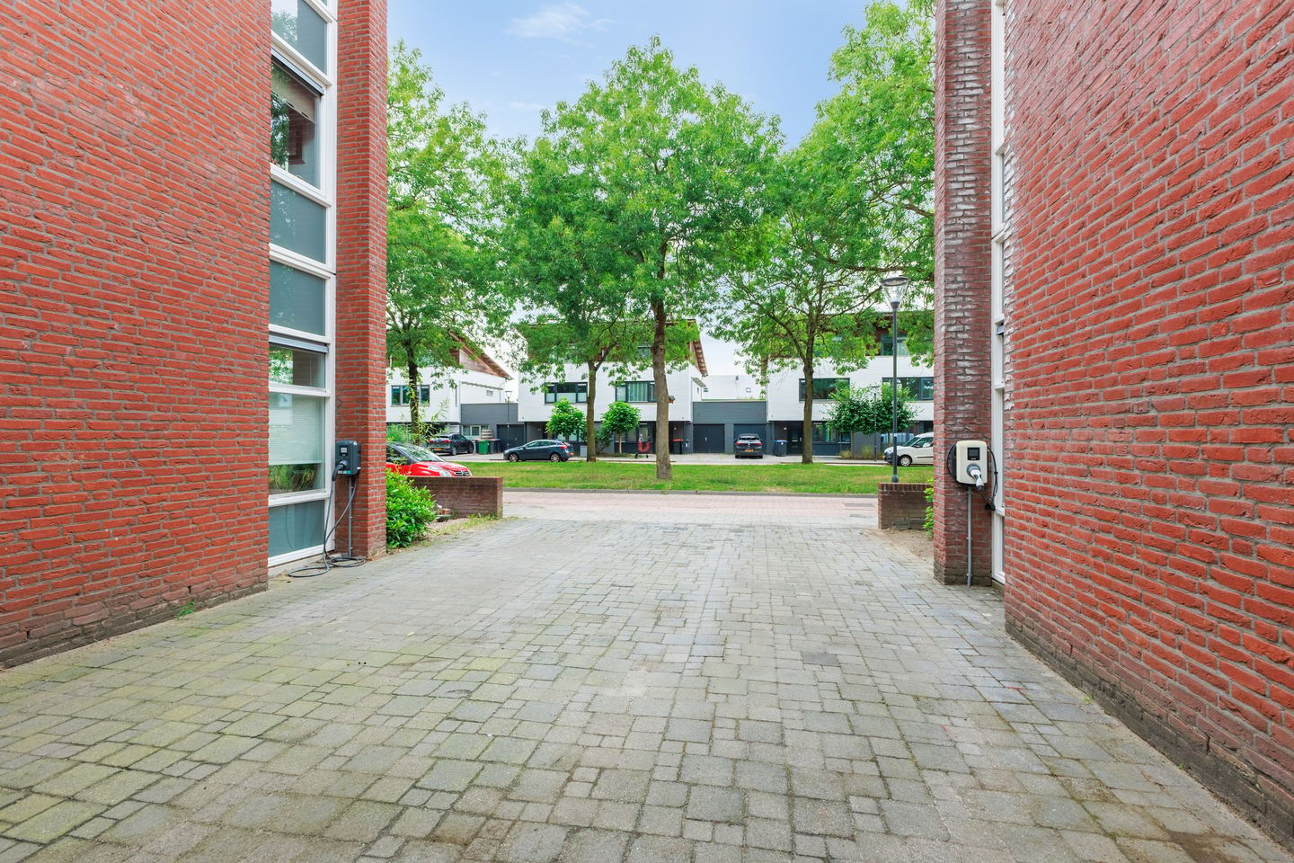 Photo 35 of Fluitenkruid 29