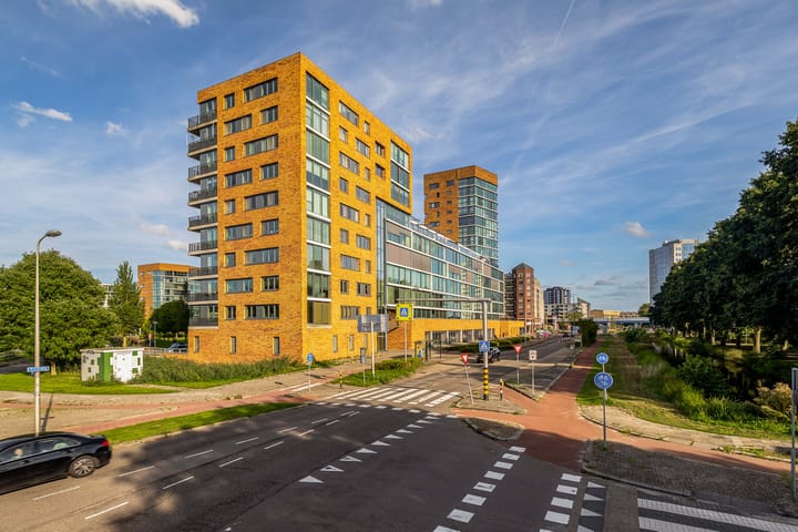 Buizerdhof 417
