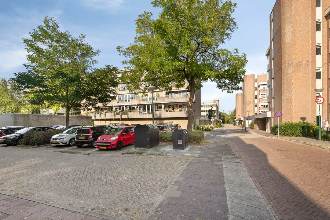 Photo 26 of Zaaier 1